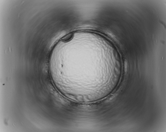 X0000103301405200809122019