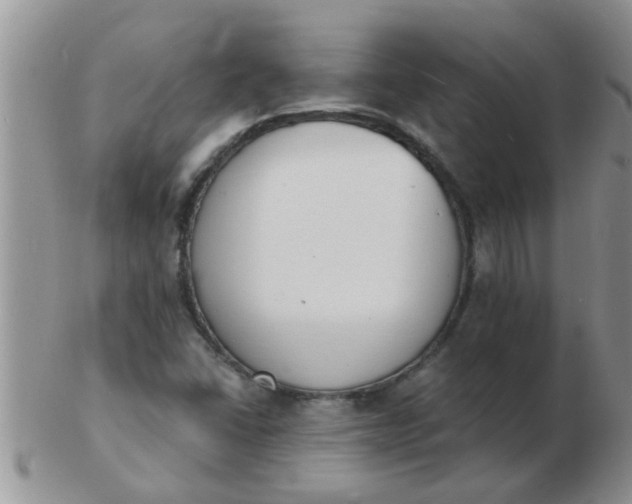 X0000103301406200809122020