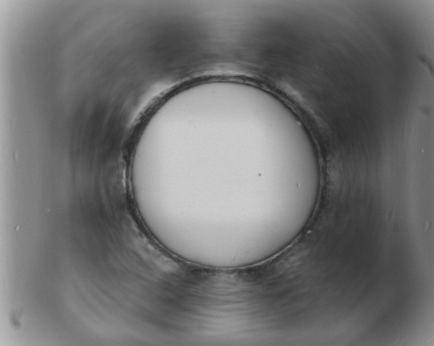 X0000103301408200809122020