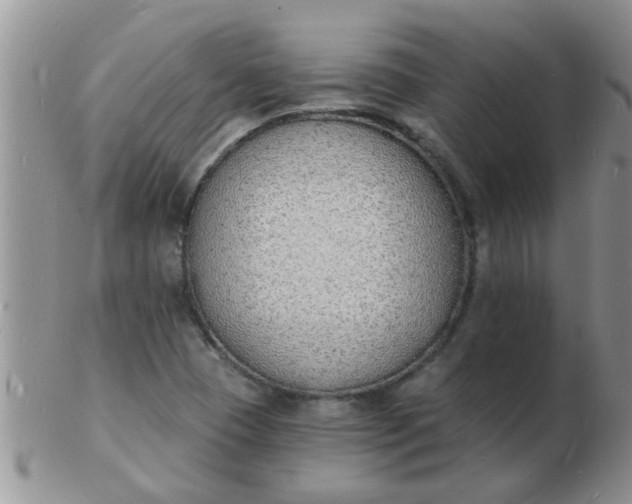 X0000103301409200809122020