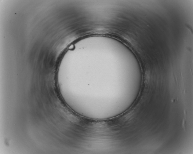 X0000103301410200809122020