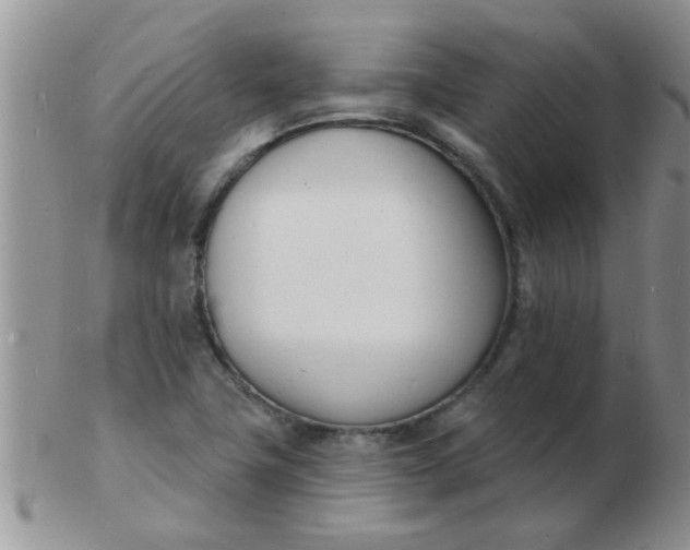 X0000103301411200809122020