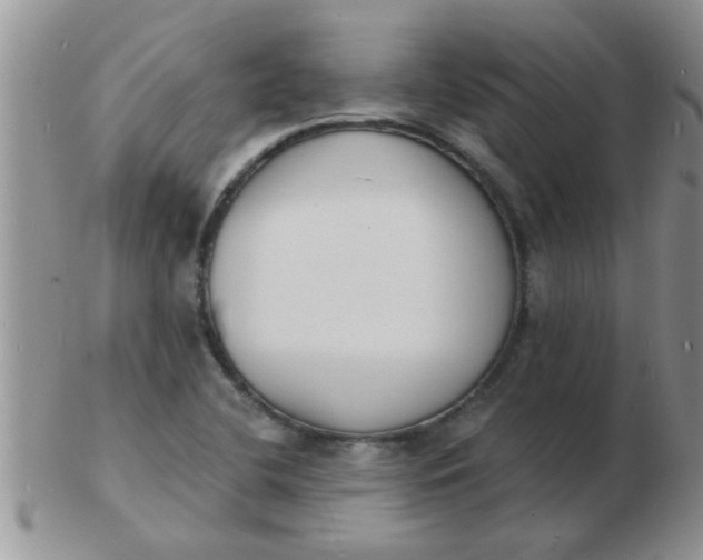 X0000103301412200809122020