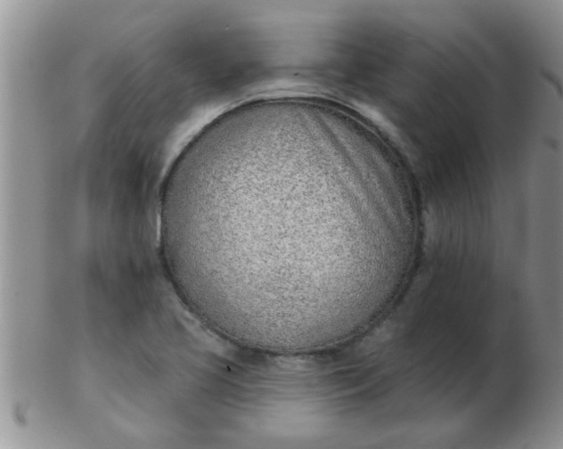 X0000103301413200809122020