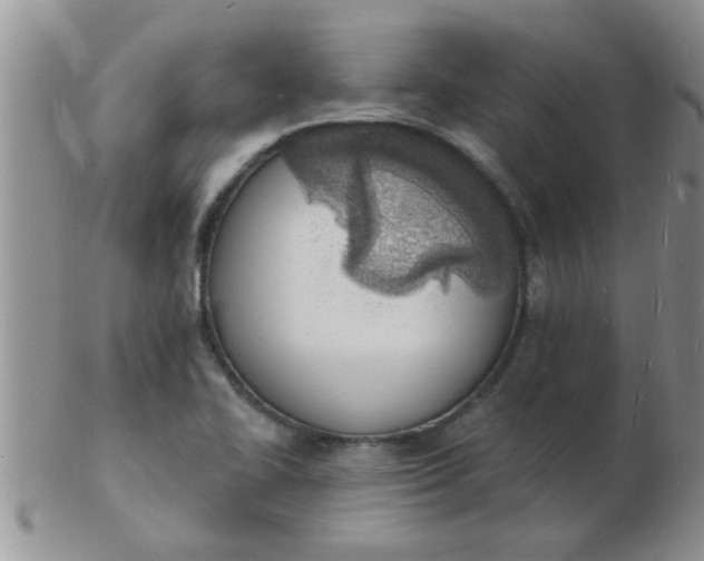 X0000103301414200809122020