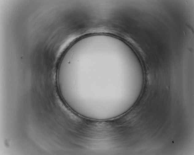 X0000103301416200809122020