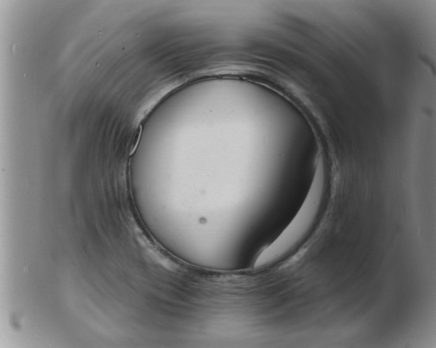 X0000103301417200809122020