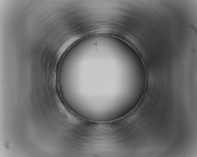 X0000103301418200809122020