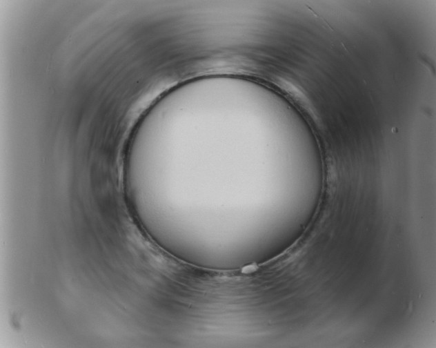 X0000103301419200809122020