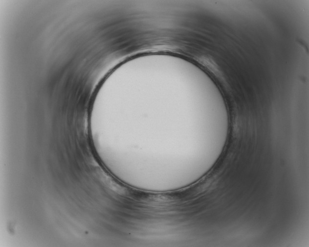 X0000103301420200809122020