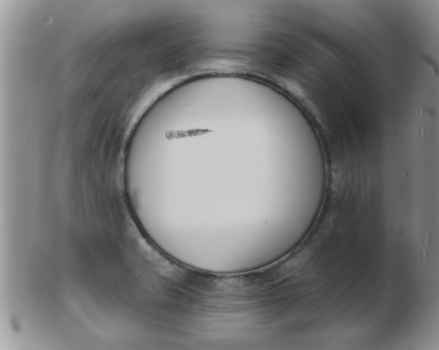 X0000103301421200809122020