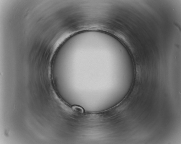 X0000103301424200809122020