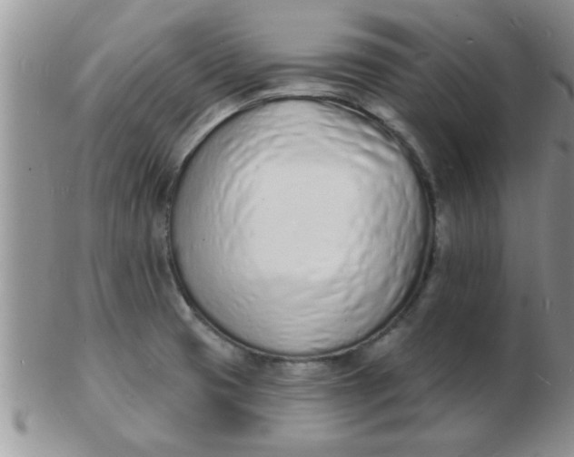 X0000103301425200809122020