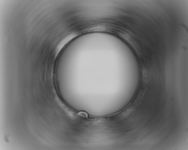 X0000103301426200809122020