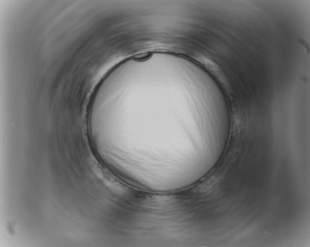 X0000103301427200809122020