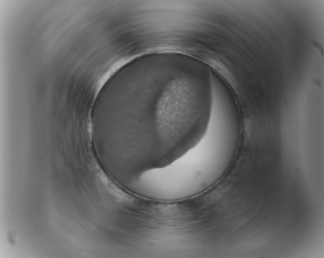 X0000103301428200809122020