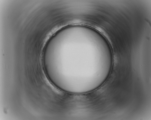 X0000103301429200809122020