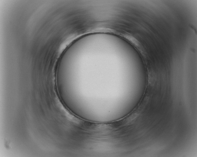 X0000103301430200809122020