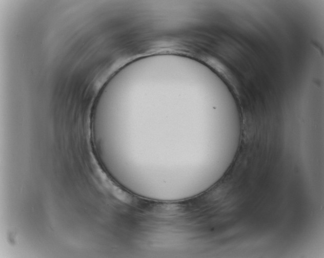 X0000103301431200809122020