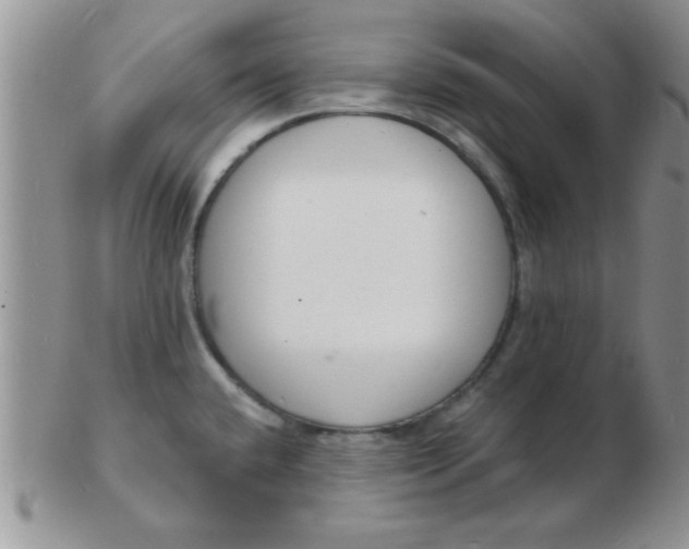 X0000103301432200809122020