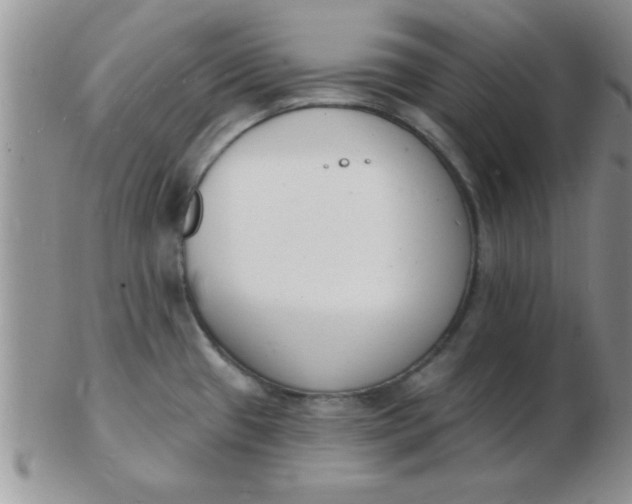 X0000103301433200809122020