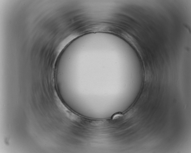 X0000103301434200809122020