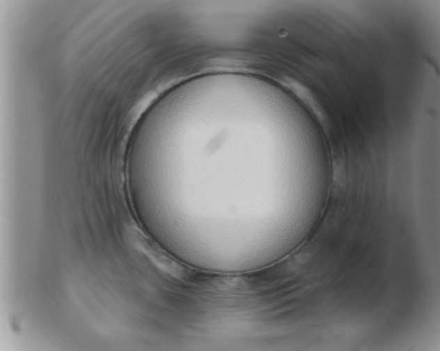 X0000103301435200809122020