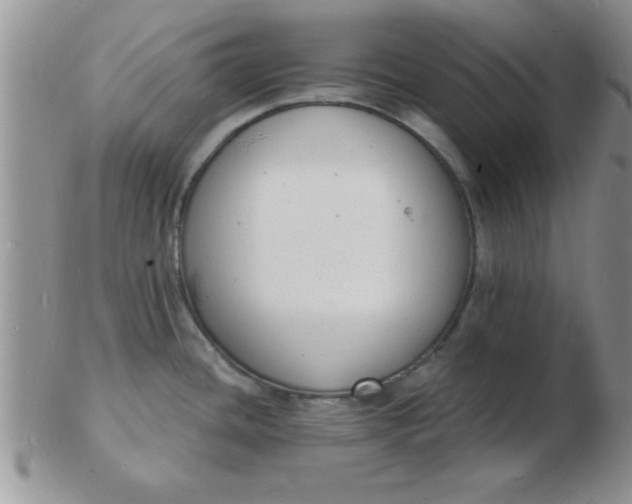 X0000103301436200809122020