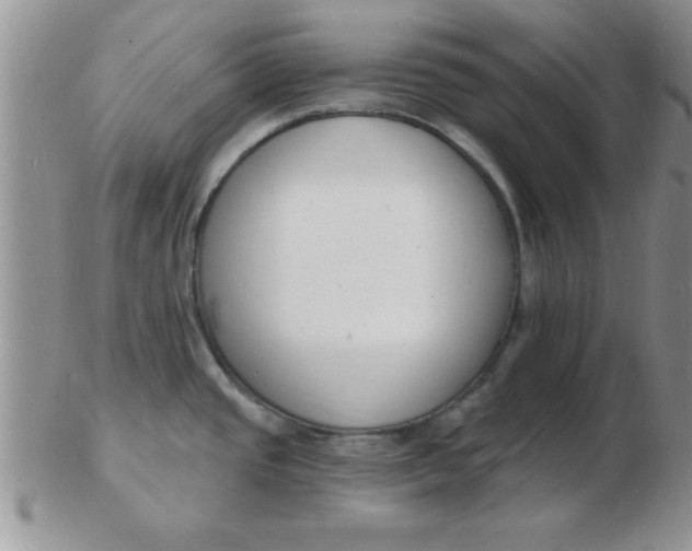 X0000103301437200809122020