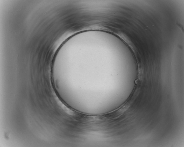 X0000103301438200809122020