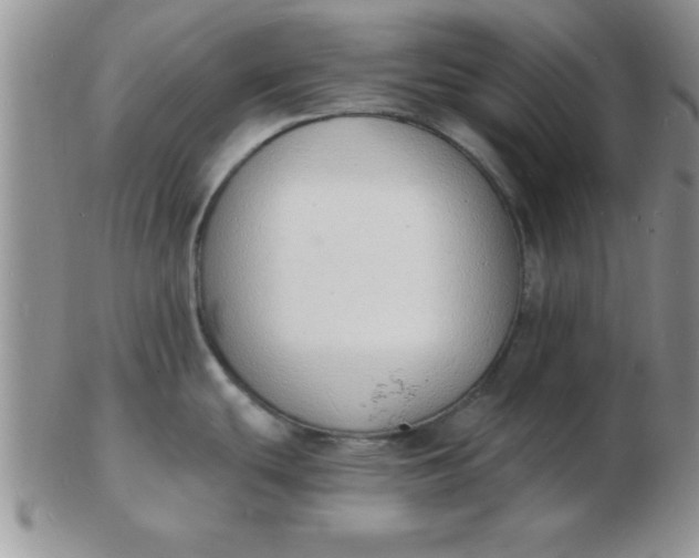 X0000103301439200809122020