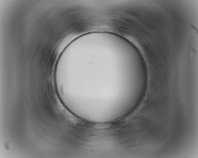 X0000103301440200809122020