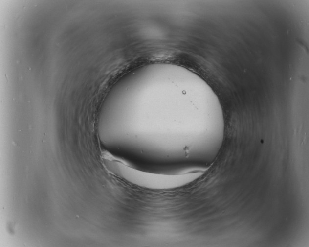 X0000103301441200809122019