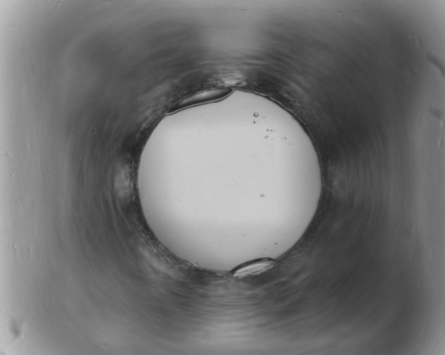 X0000103301442200809122019