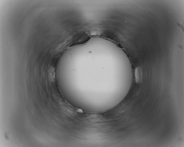 X0000103301443200809122019