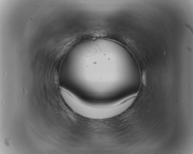 X0000103301444200809122019