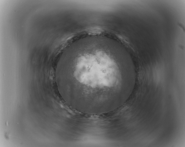 X0000103301445200809122019