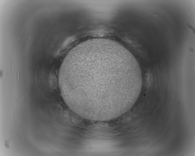 X0000103301446200809122019