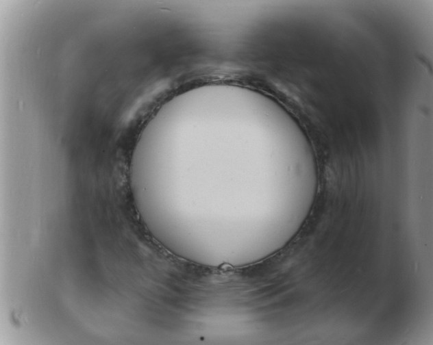 X0000103301447200809122019