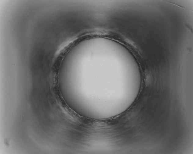 X0000103301448200809122019