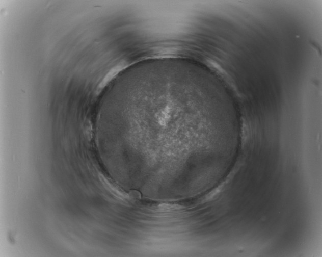 X0000103301449200809122019