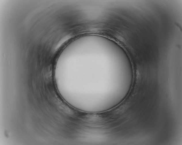 X0000103301450200809122019