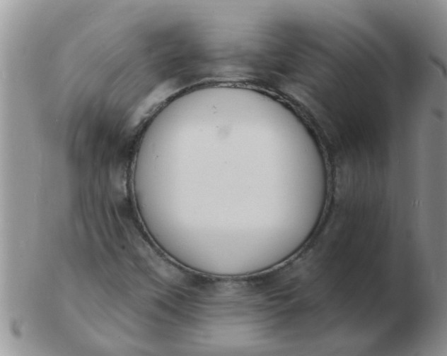 X0000103301451200809122019