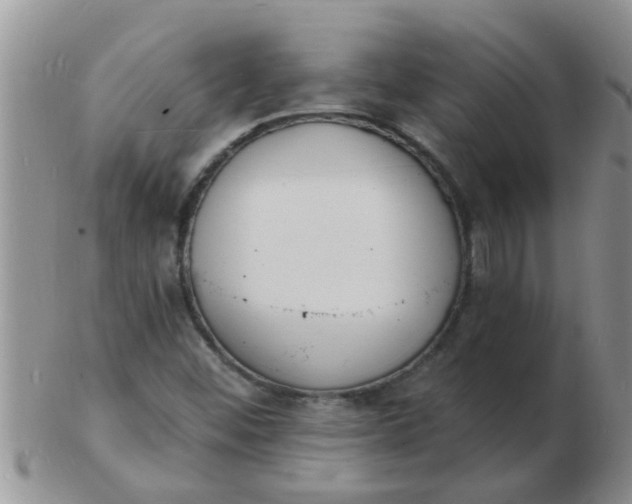 X0000103301452200809122019