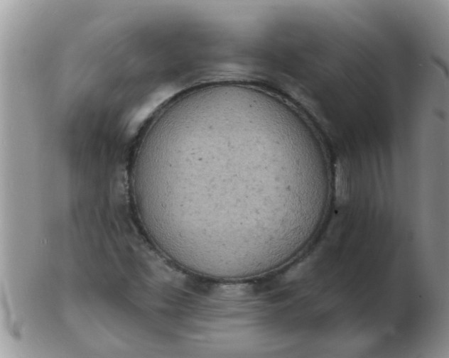 X0000103301453200809122019