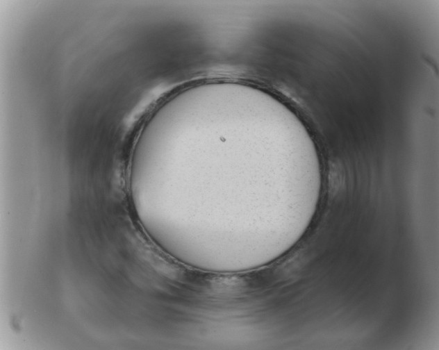 X0000103301454200809122019