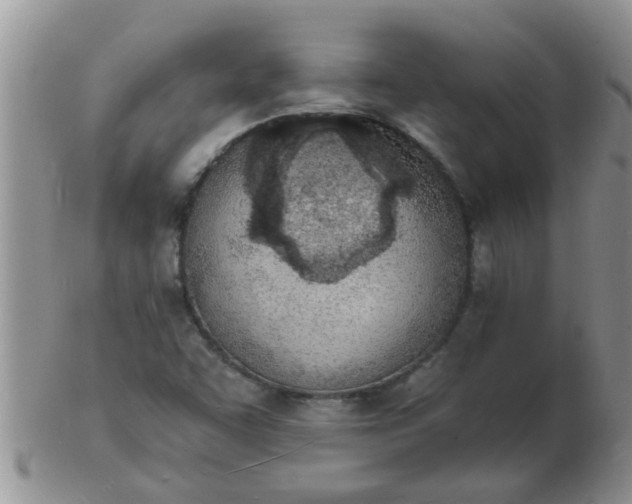 X0000103301455200809122019