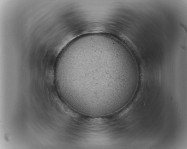 X0000103301457200809122019