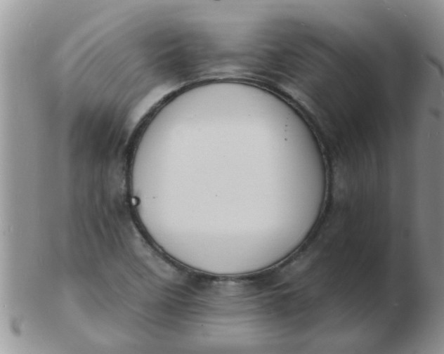 X0000103301458200809122019