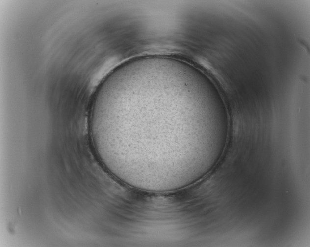 X0000103301459200809122019